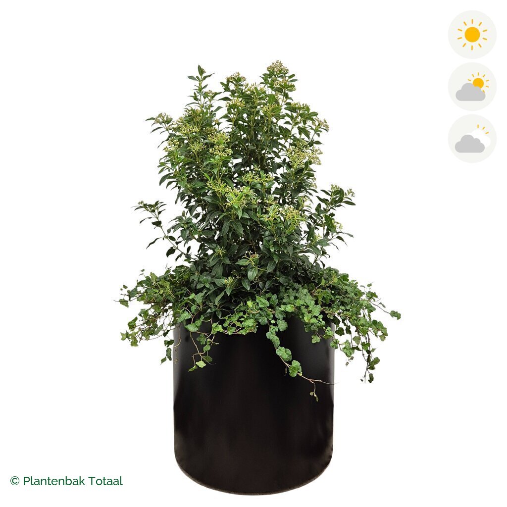 productfoto van plantenbak Aluminium Circum Sneeuwbal Combinatie
