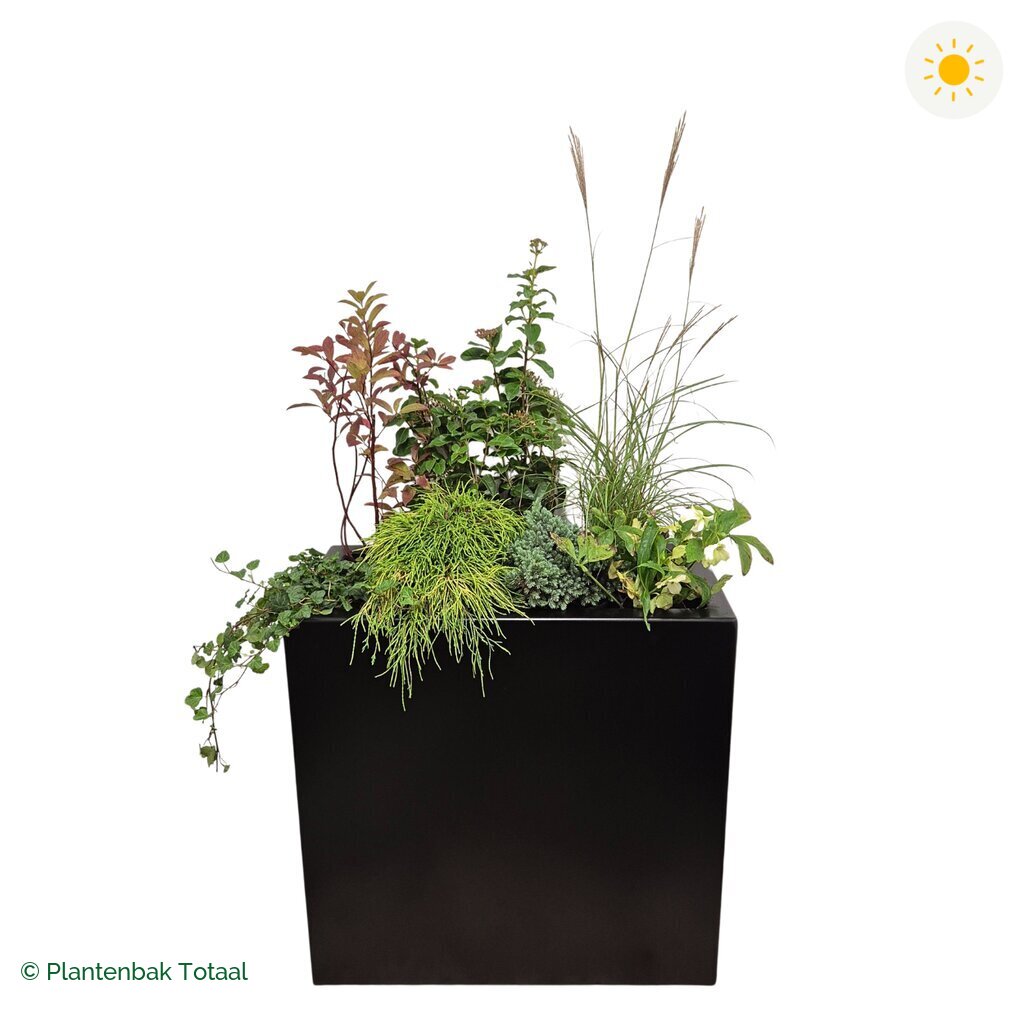 productfoto van plantenbak Aluminium Carrez Rechthoek Set Bretagne