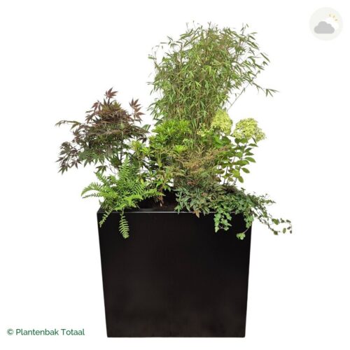 productfoto van plantenbak Aluminium Carrez Rechthoek Set Himalaya