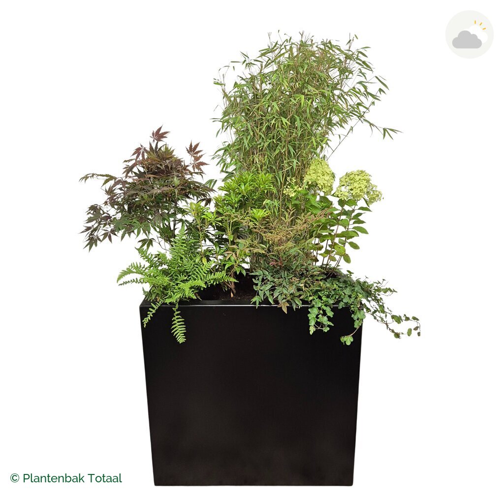 productfoto van plantenbak Aluminium Carrez Rechthoek Set Himalaya