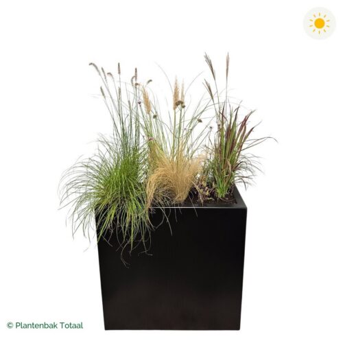 productfoto van plantenbak Aluminium Carrez Rechthoek Set Savanne