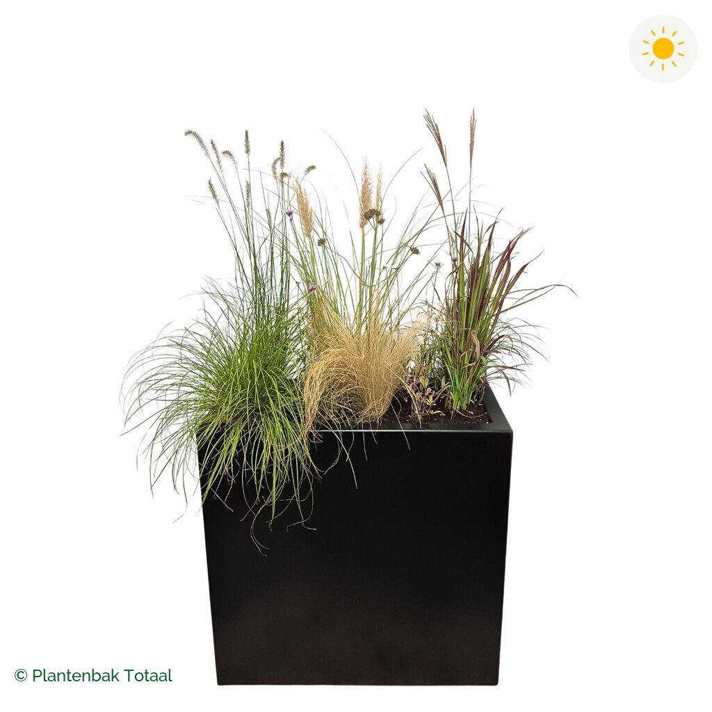 productfoto van plantenbak Aluminium Carrez Rechthoek Set Savanne