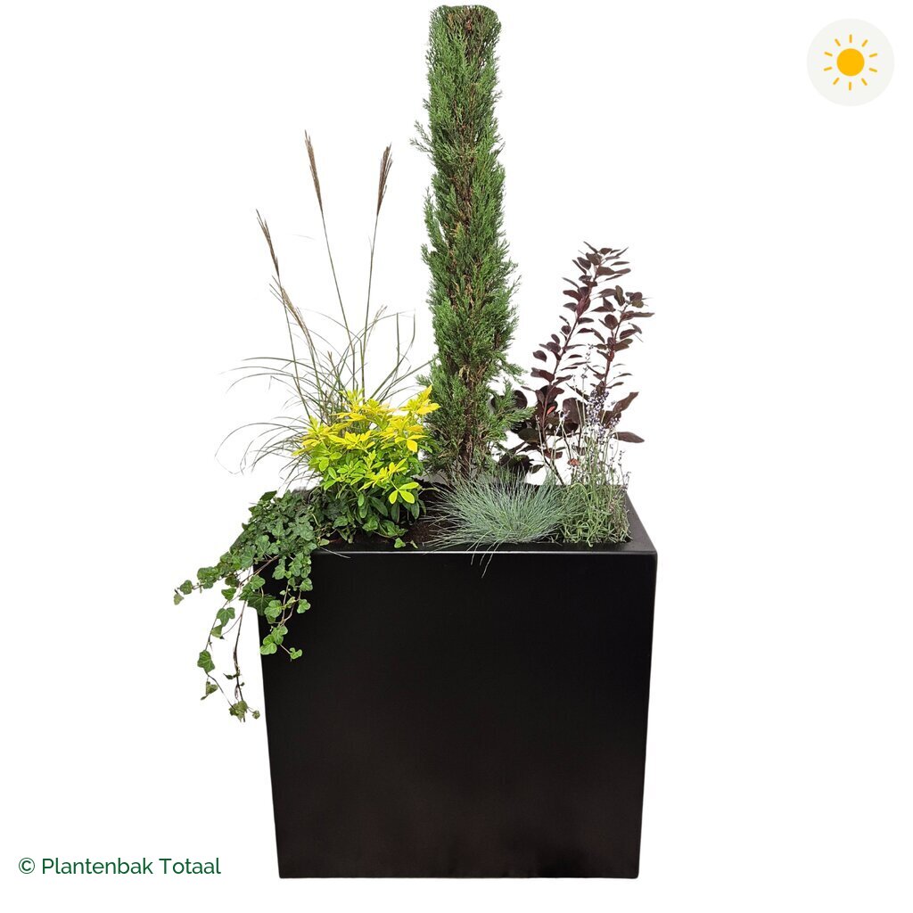productfoto van plantenbak Aluminium Carrez Rechthoek Set Toscane