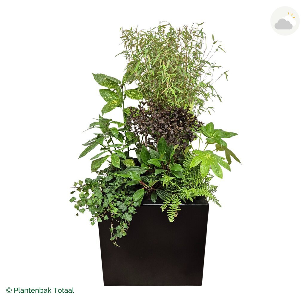 productfoto van plantenbak Aluminium Carrez Vierkant Set Amazone