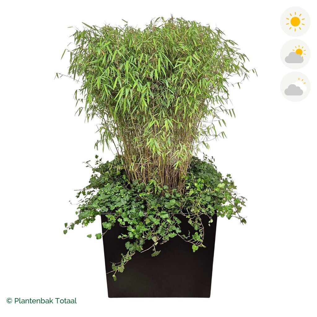 productfoto van plantenbak Aluminium Carrez Vierkant Bamboe Combinatie