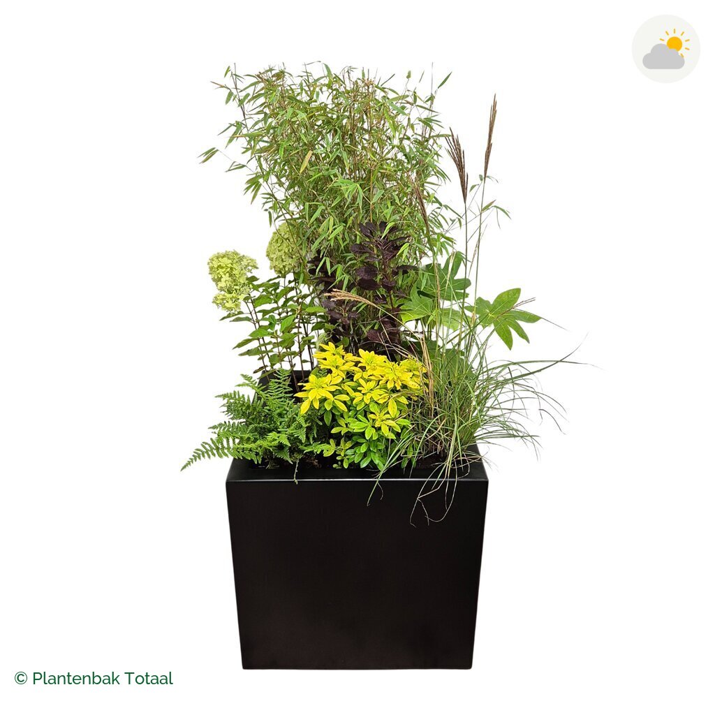 productfoto van plantenbak Aluminium Carrez Vierkant Set Bohemen