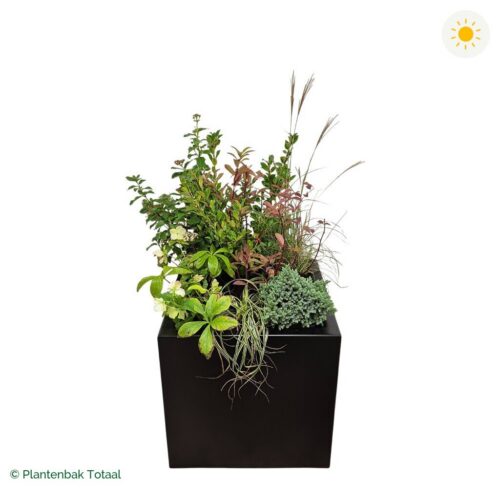 productfoto van plantenbak Aluminium Carrez Vierkant Set Bretagne