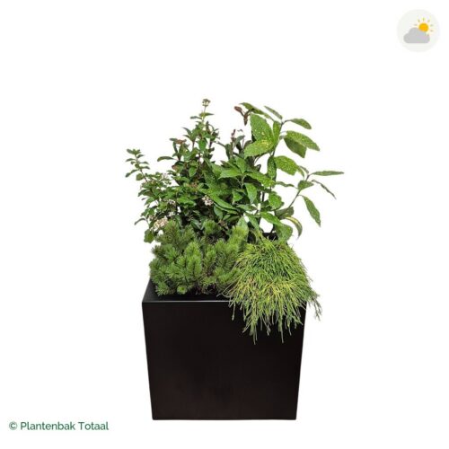 productfoto van plantenbak Aluminium Carrez Vierkant Set Eifel