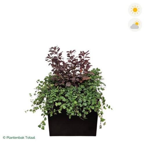 productfoto van plantenbak Aluminium Carrez Vierkant Pruikenboom Combinatie