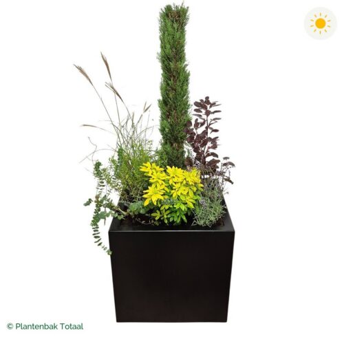 productfoto van plantenbak Aluminium Carrez Vierkant Set Toscane