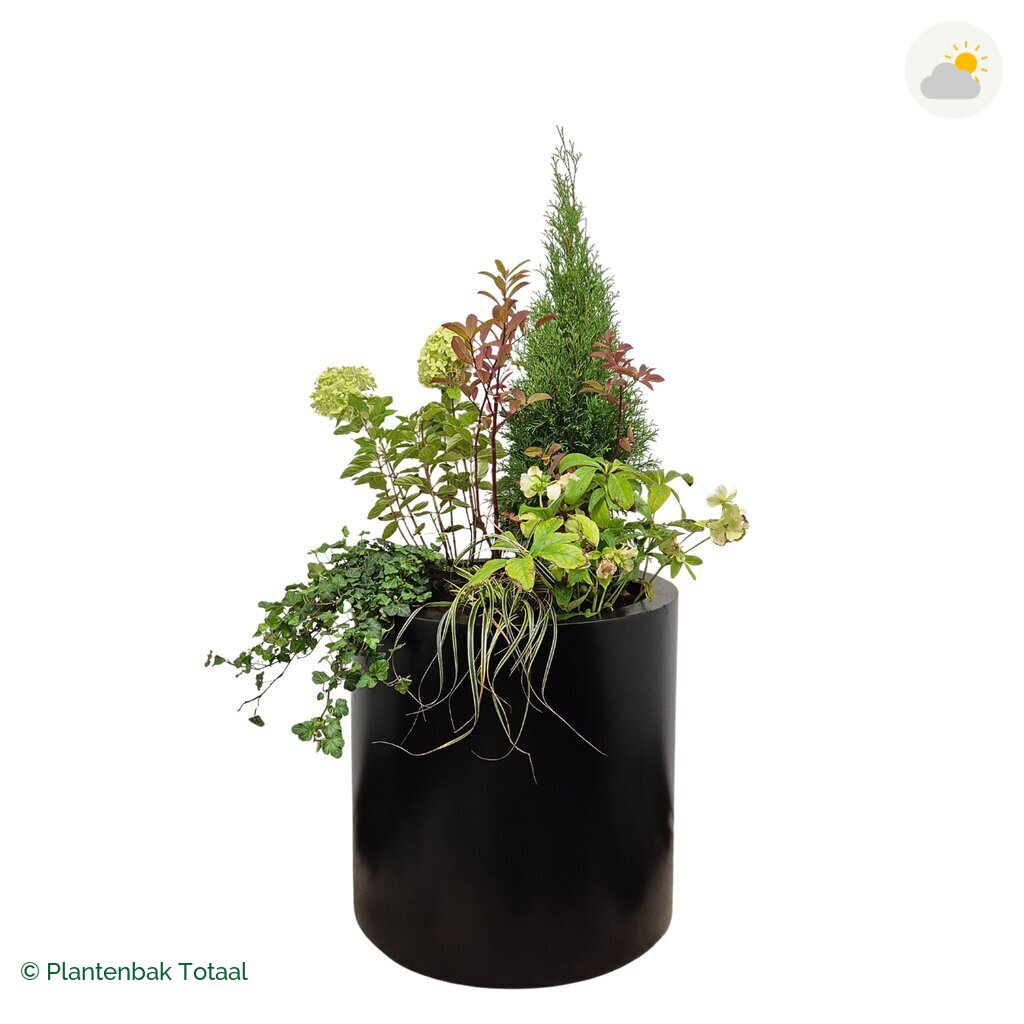 productfoto van plantenbak Aluminium Circum Set Ardennen