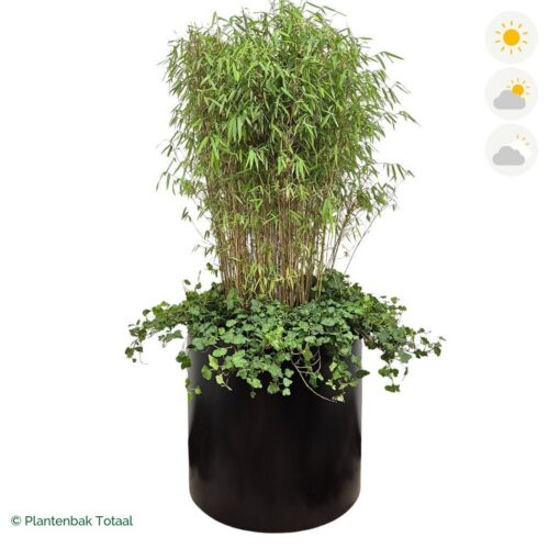 productfoto van plantenbak Aluminium Circum Bamboe Combinatie