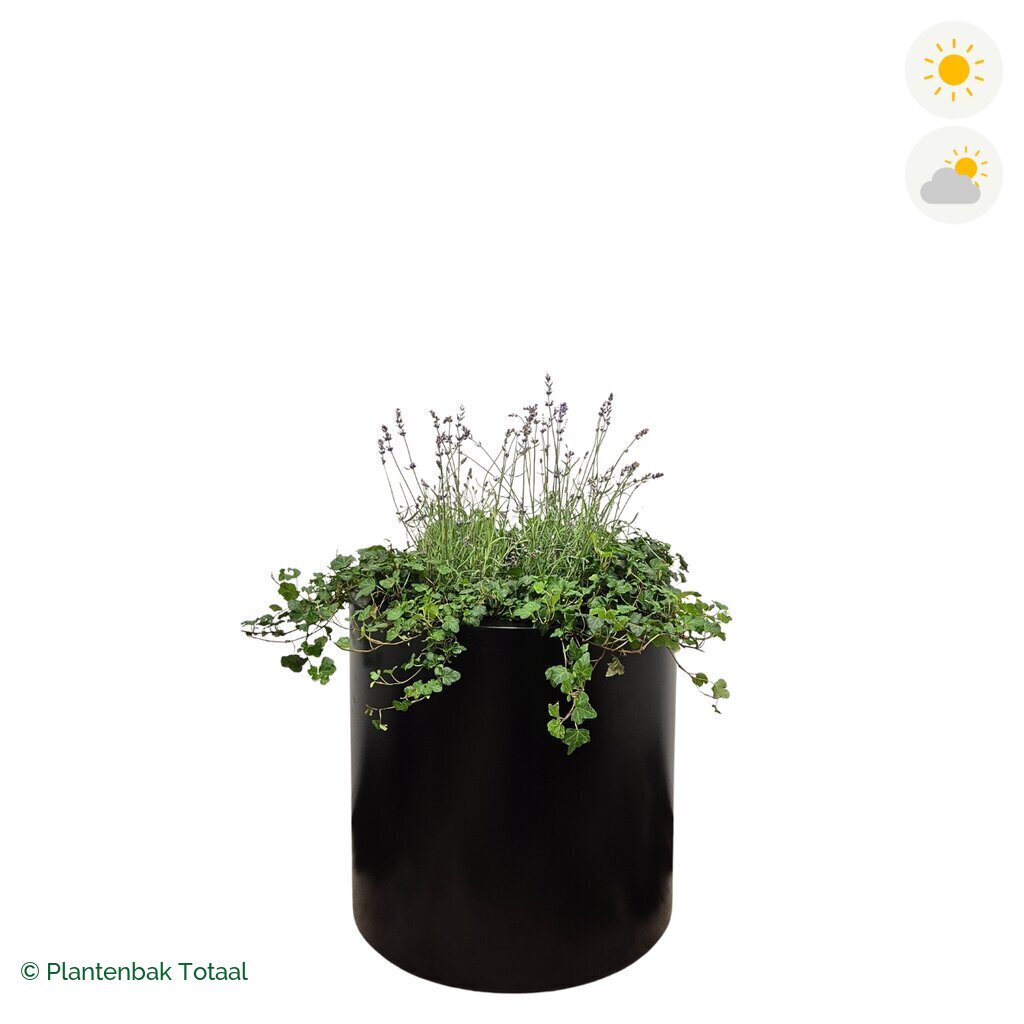 productfoto van plantenbak Aluminium Circum Lavendel Combinatie