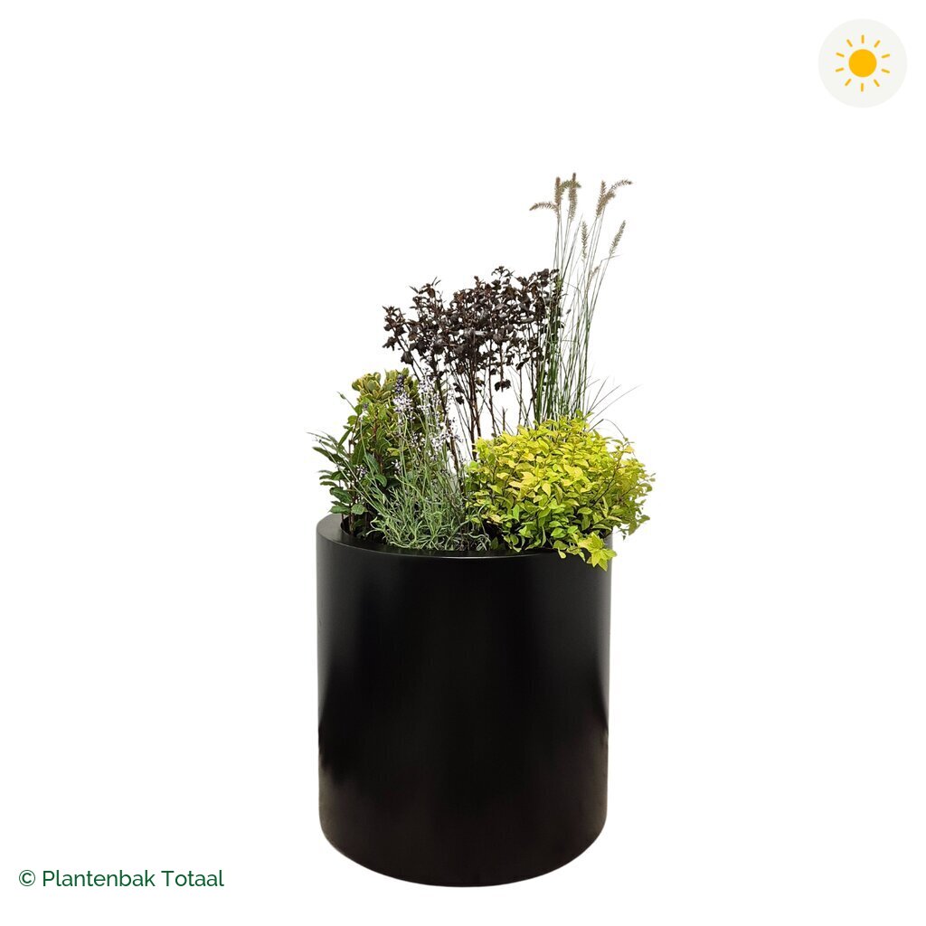productfoto van plantenbak Aluminium Circum Set Provence