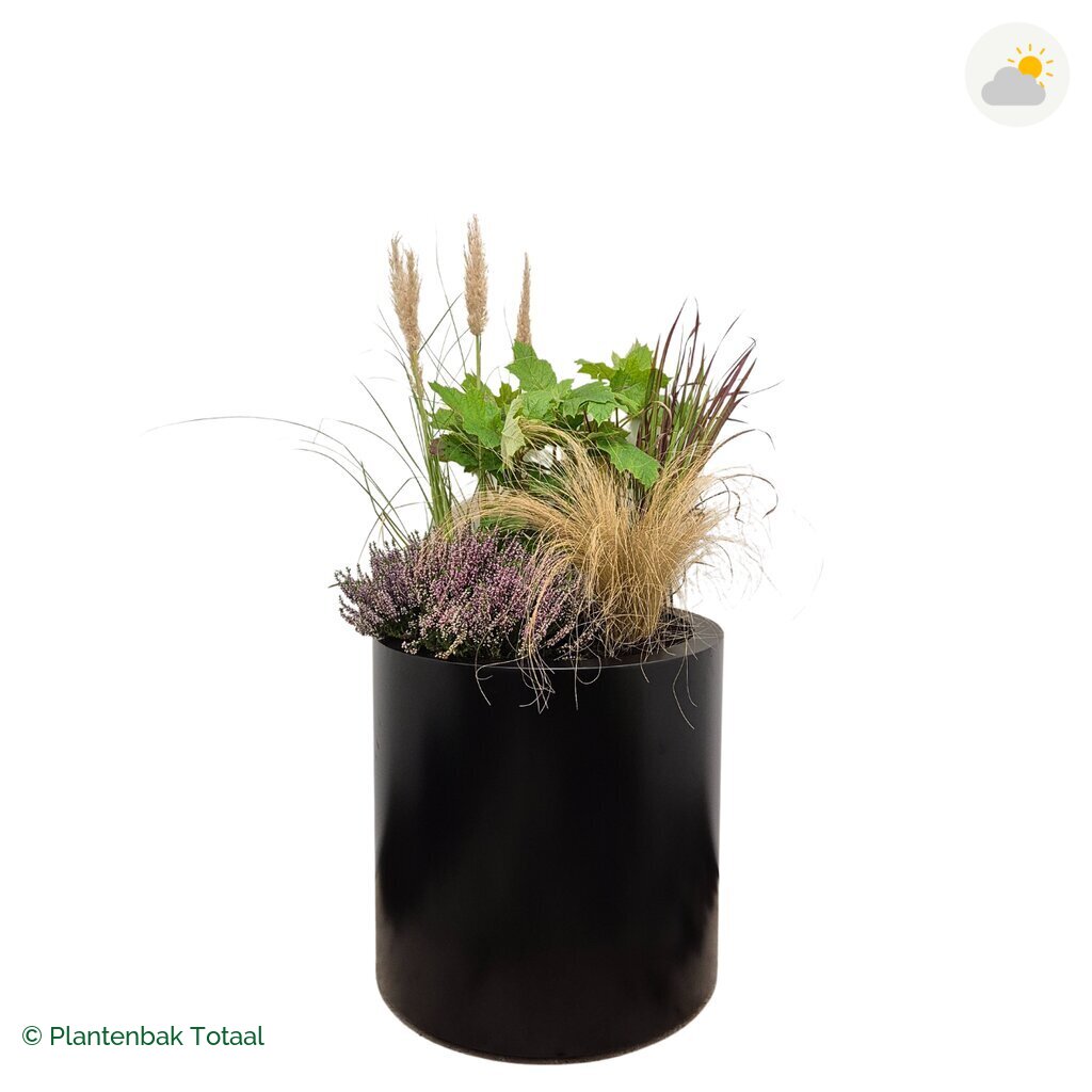 productfoto van plantenbak Aluminium Circum Set Veluwe