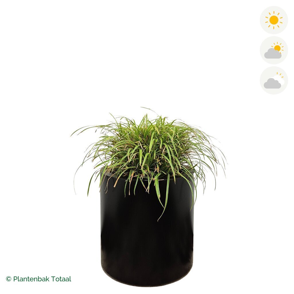 productfoto van plantenbak Aluminium Circum Zegge