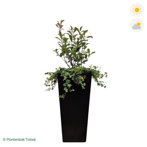 productfoto van plantenbak Aluminium Tap Glansmispel Combinatie