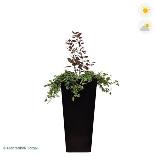 productfoto van plantenbak Aluminium Tap Pruikenboom Combinatie