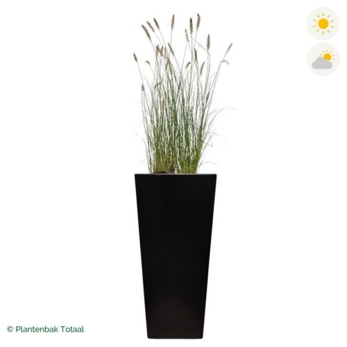 productfoto van plantenbak Aluminium Tap Lampenpoetsersgras