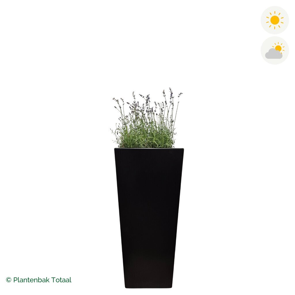 productfoto van plantenbak Aluminium Tap Lavendel Combinatie
