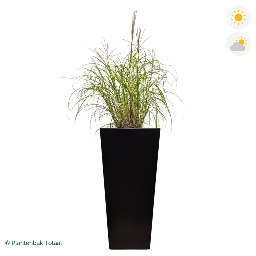 productfoto van plantenbak Aluminium Tap Prachtriet