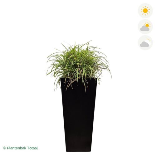 productfoto van plantenbak Aluminium Tap Zegge