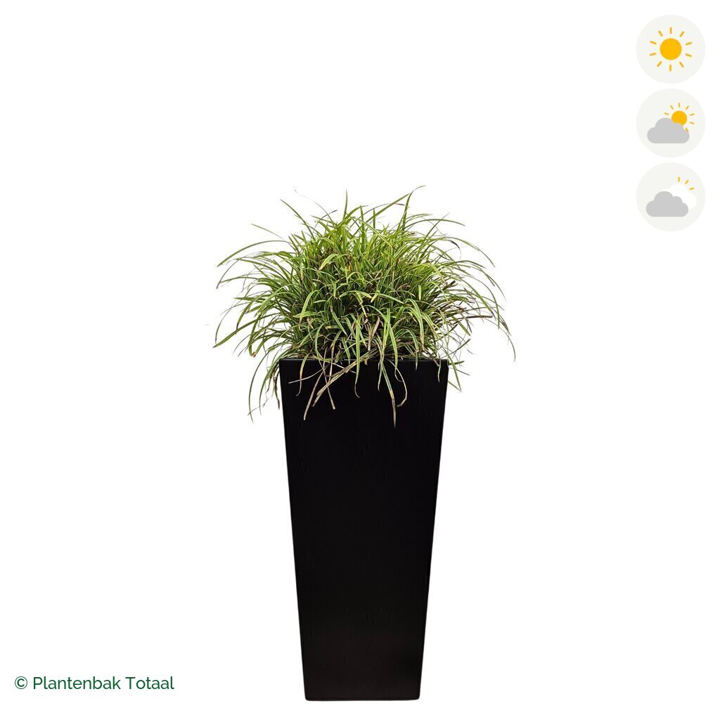 productfoto van plantenbak Aluminium Tap Zegge