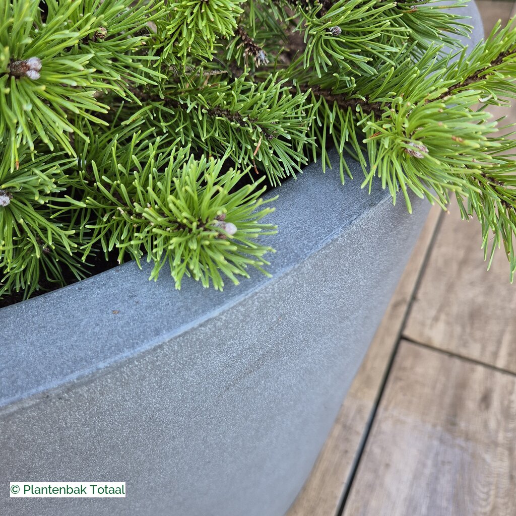 productlijn foto van plantenbak FF Bucket rond