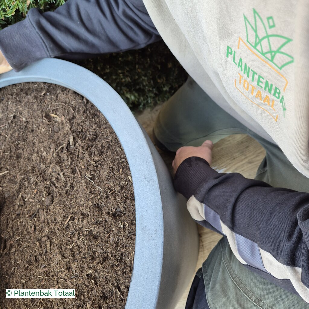 productlijn foto van plantenbak FF Bucket rond