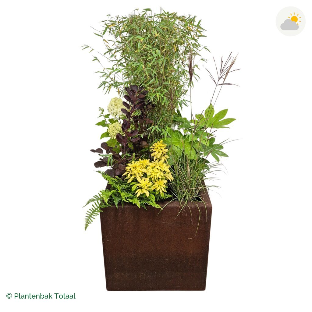 productfoto van plantenbak Cortenstaal Carrez Vierkant Set Bohemen