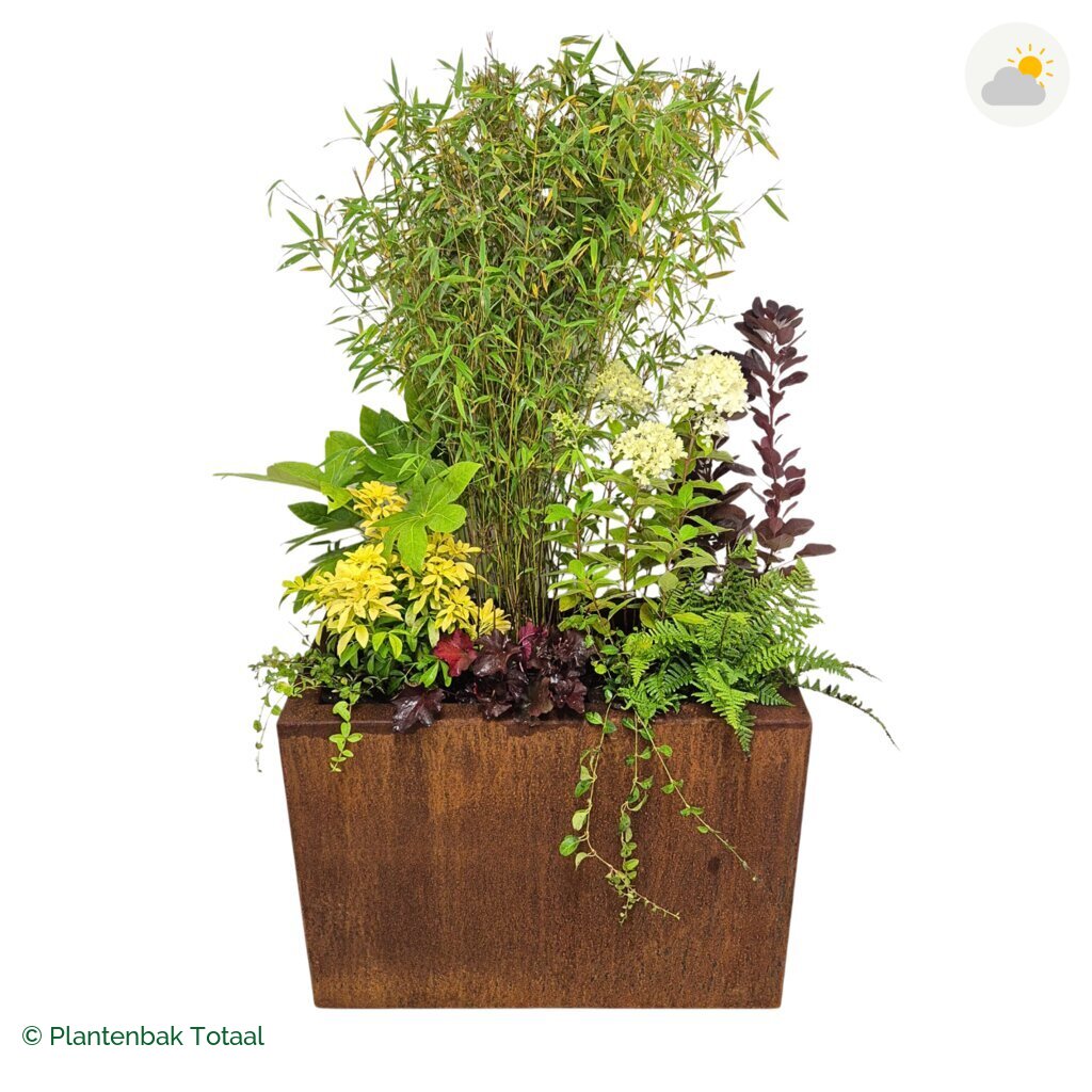 productfoto van plantenbak Cortenstaal Carrez Rechthoek Set Bohemen