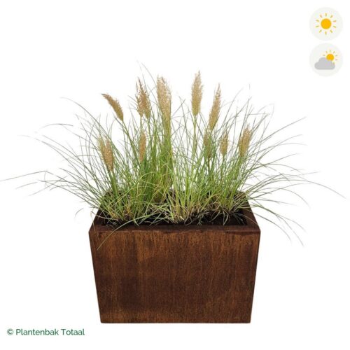 productfoto van plantenbak Cortenstaal Carrez Rechthoek Pampasgras