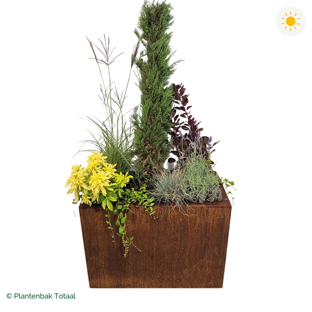 productfoto van plantenbak Cortenstaal Carrez Rechthoek Set Toscane