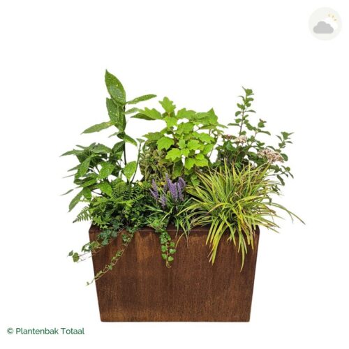 productfoto van plantenbak Cortenstaal Carrez Rechthoek Set York