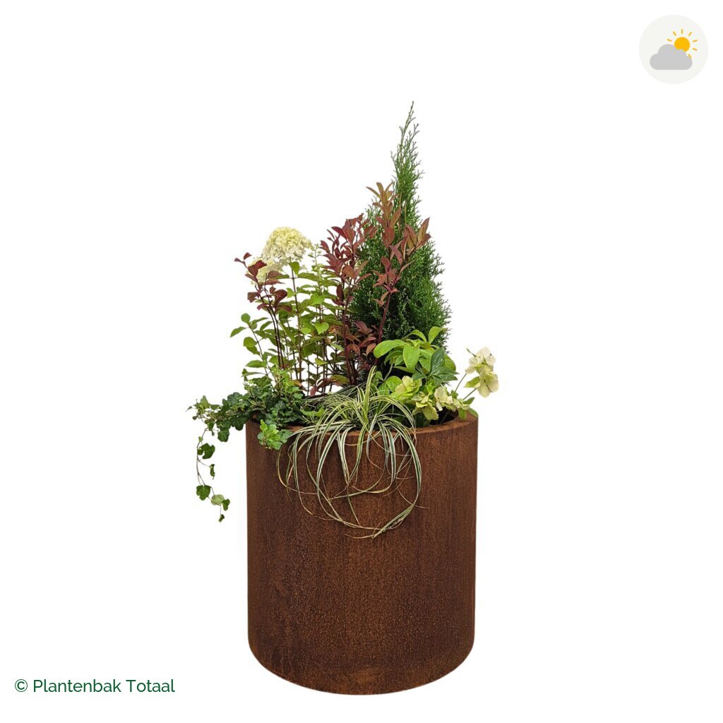 productfoto van plantenbak Cortenstaal Circum Set Ardennen
