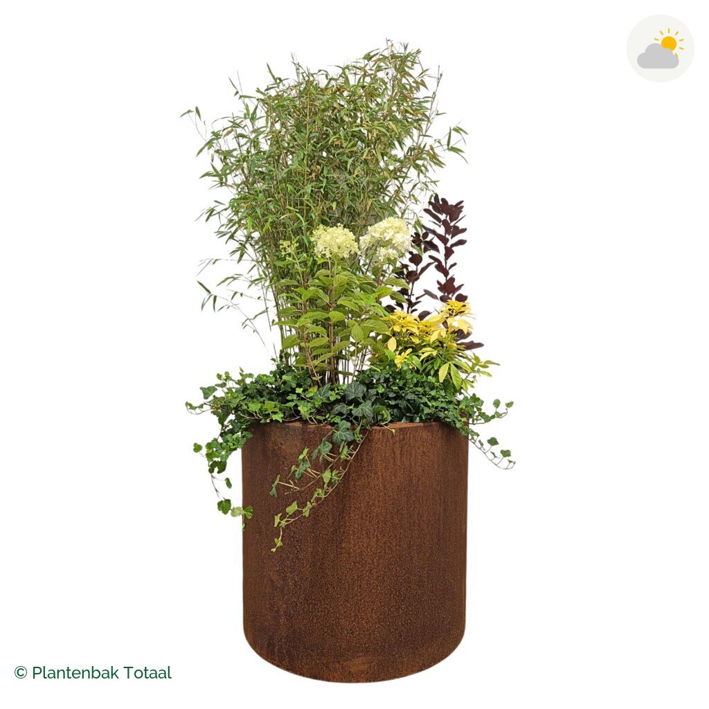 productfoto van plantenbak Cortenstaal Circum Set Bohemen