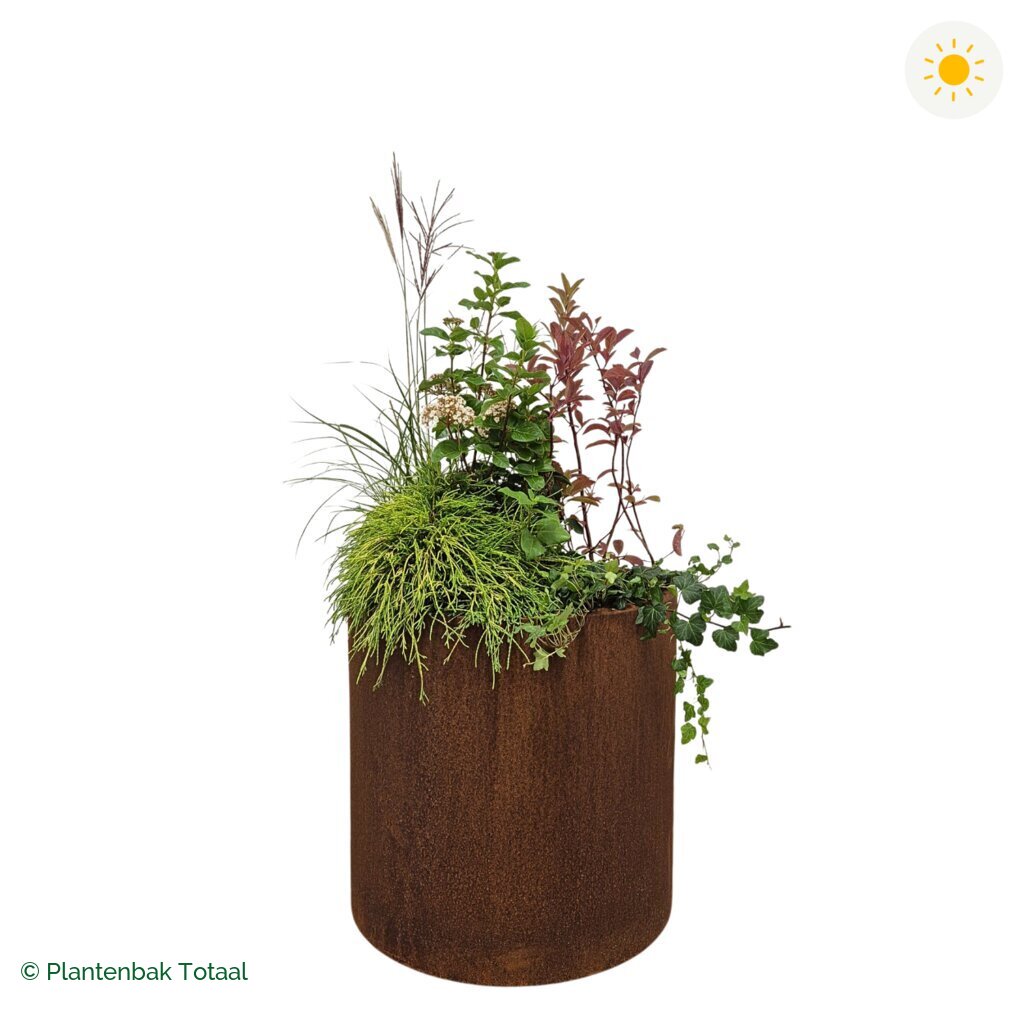productfoto van plantenbak Cortenstaal Circum Set Bretagne