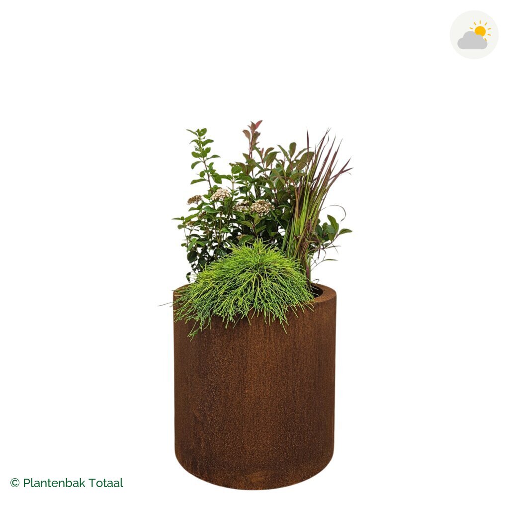 productfoto van plantenbak Cortenstaal Circum Set Eifel