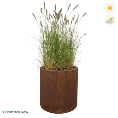 productfoto van plantenbak Cortenstaal Circum Lampenpoetsersgras