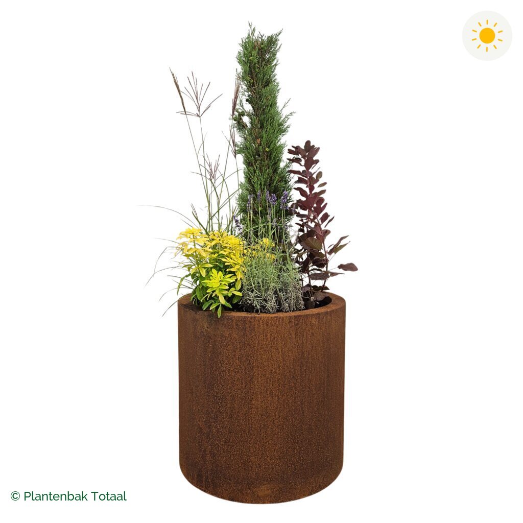 productfoto van plantenbak Cortenstaal Circum Set Toscane
