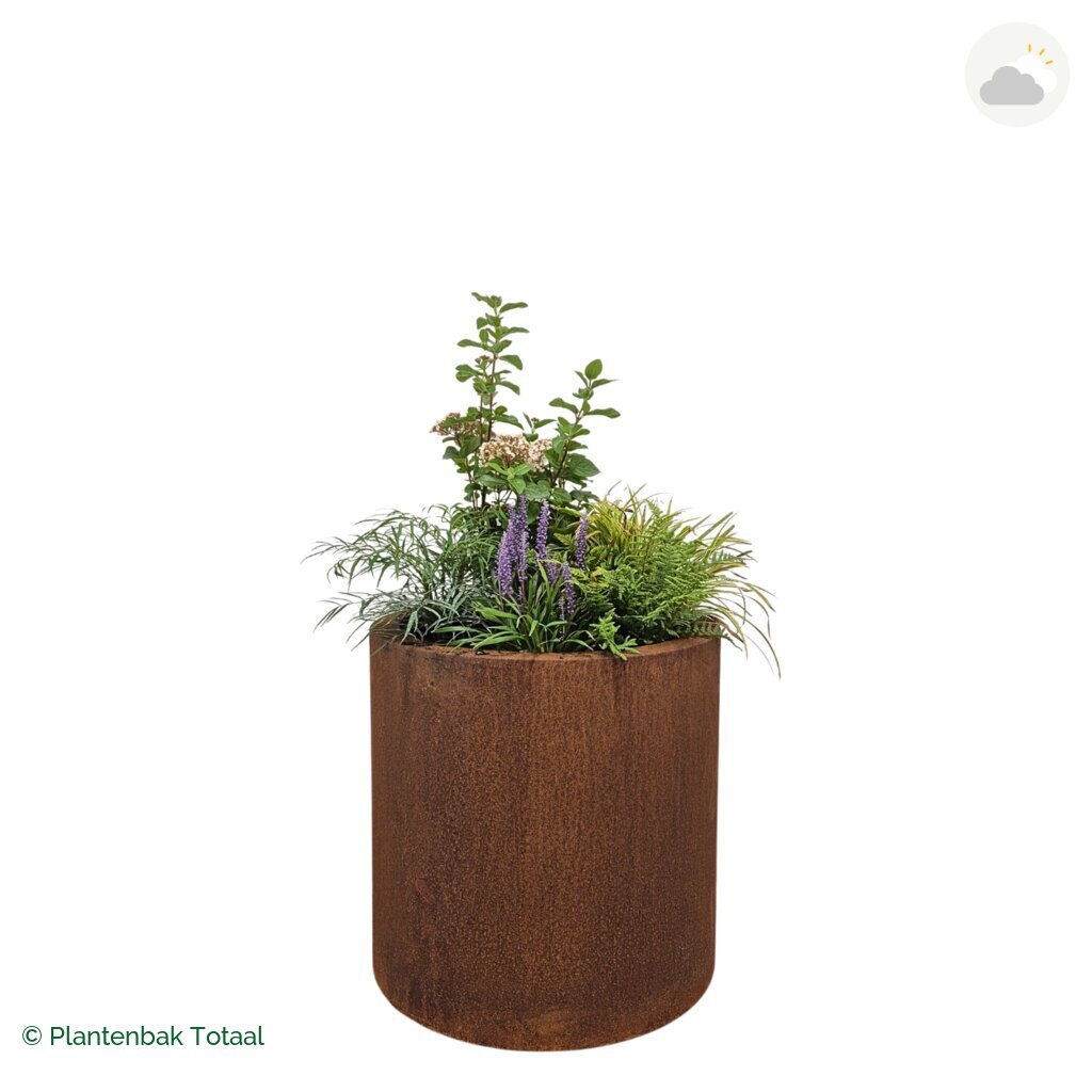 productfoto van plantenbak Cortenstaal Circum Set York