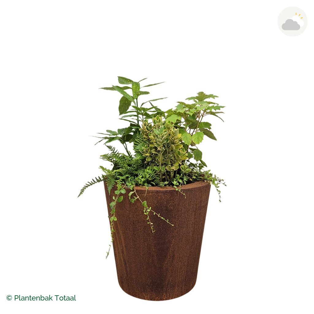 productfoto van plantenbak Cortenstaal Conic Set Amazone