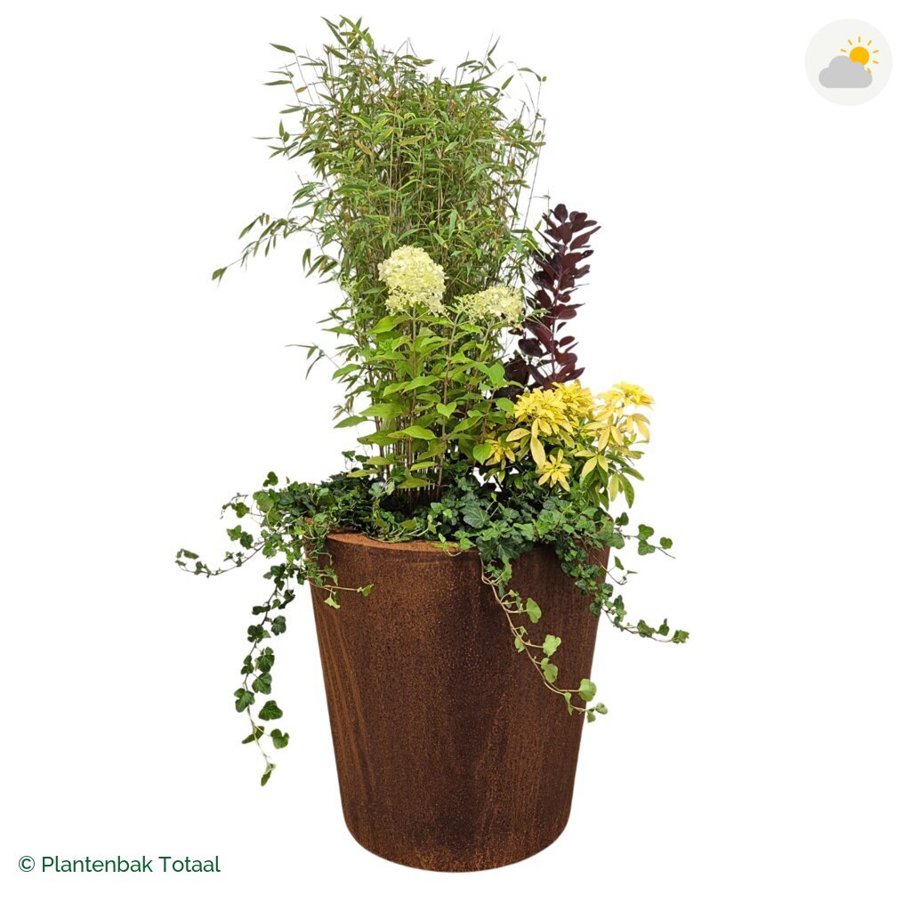 productfoto van plantenbak Cortenstaal Conic Set Bohemen