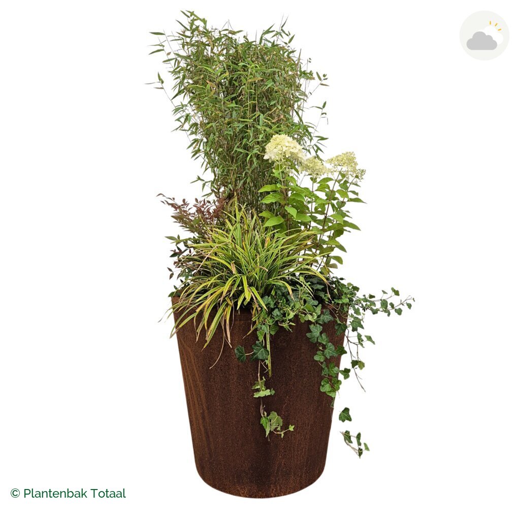 productfoto van plantenbak Cortenstaal Conic Set Himalaya