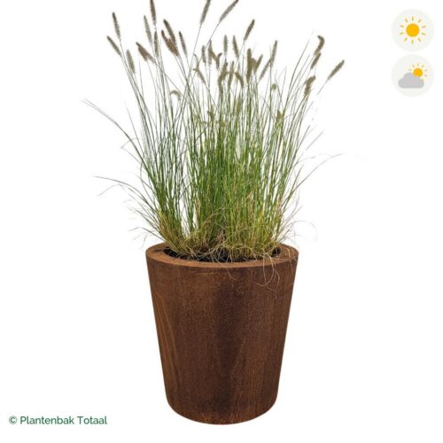 productfoto van plantenbak Cortenstaal Conic Lampenpoetsersgras