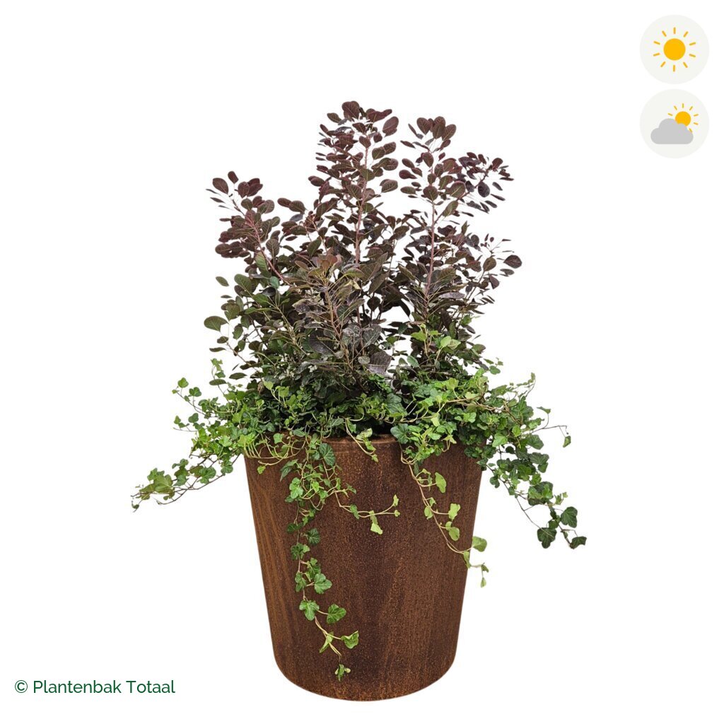 productfoto van plantenbak Cortenstaal Conic Pruikenboom Combinatie