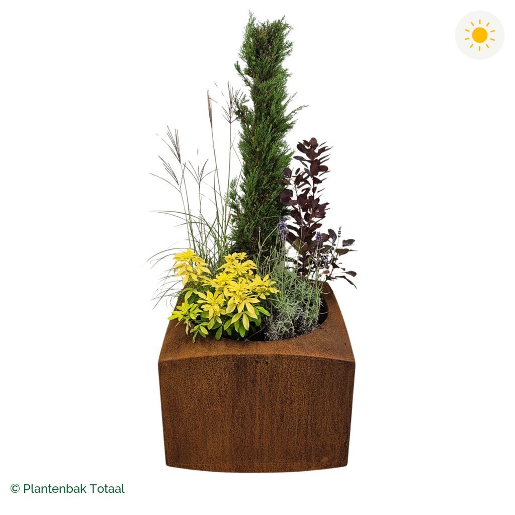 productfoto van plantenbak Cortenstaal Nooa Set Toscane