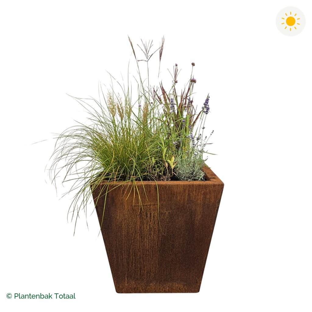 productfoto van plantenbak Cortenstaal Tap Set Savanne