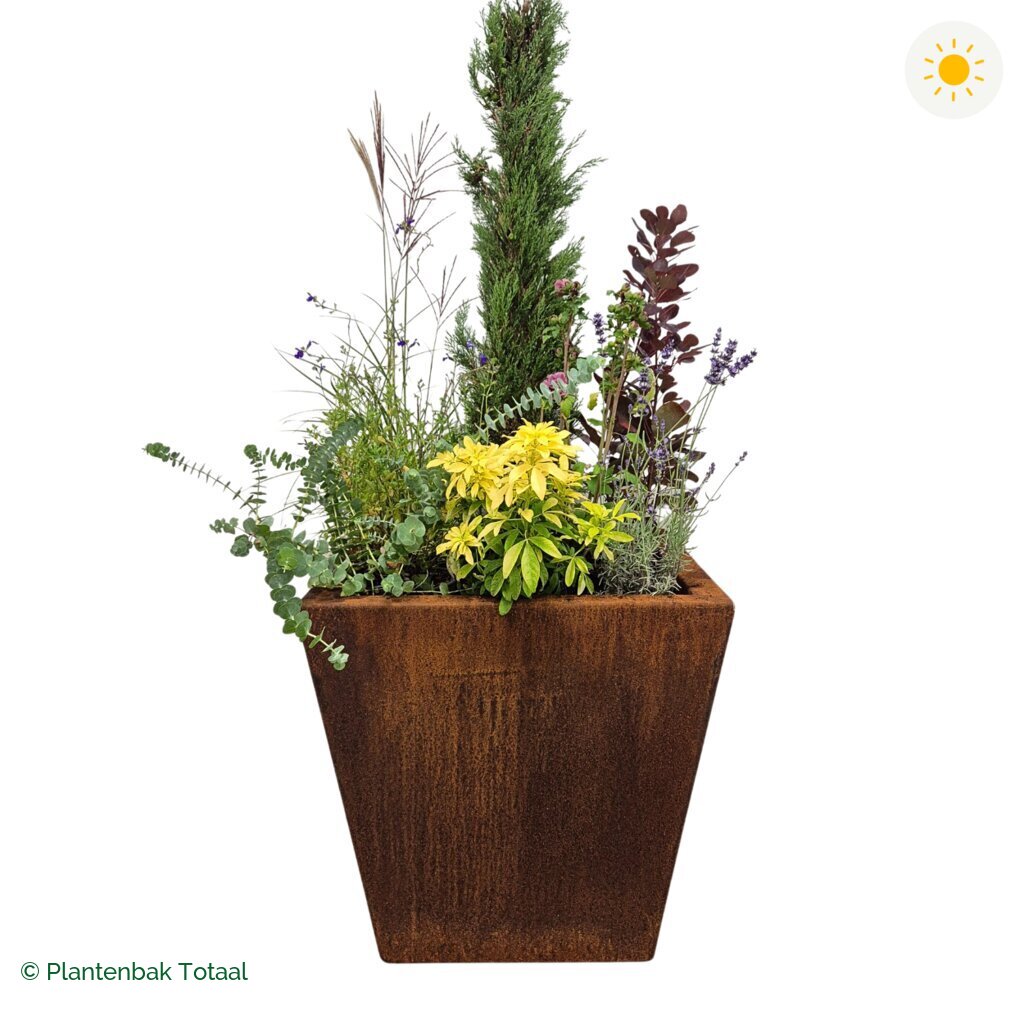 productfoto van plantenbak Cortenstaal Tap Set Toscane