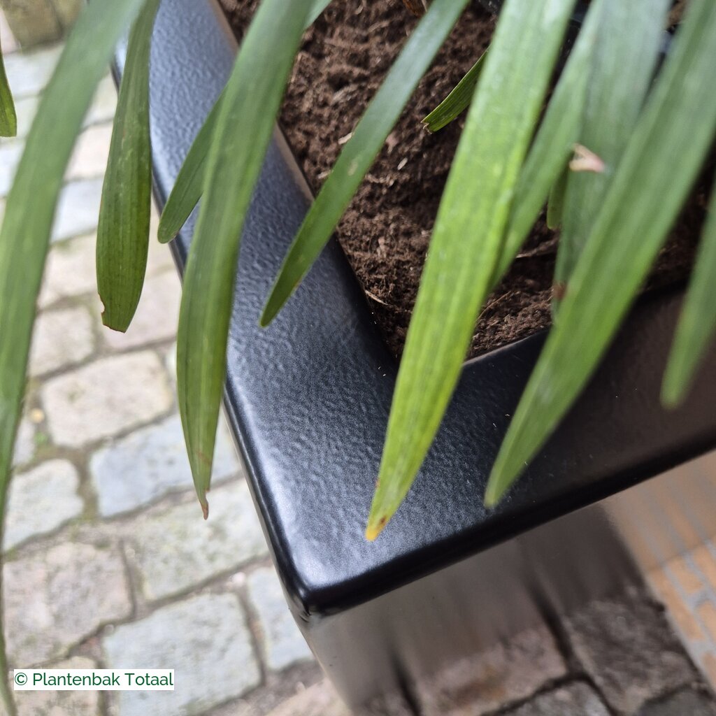 productlijn foto van plantenbak AL Carrez rechthoek